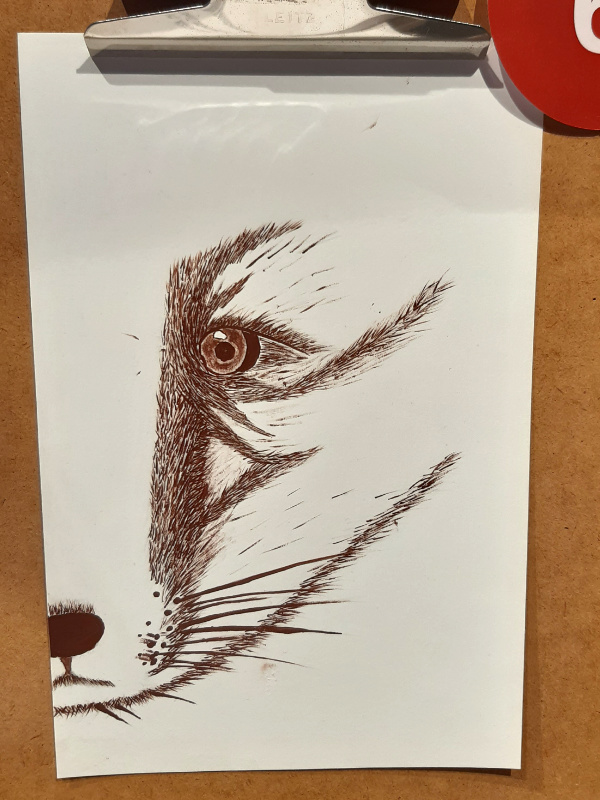 6